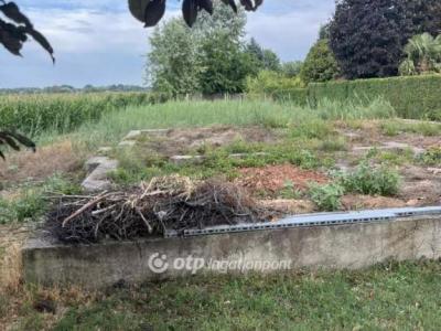 Eladó lakóövezeti telek Csongrád