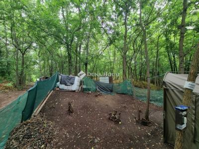 Eladó nyaraló Tóalmás