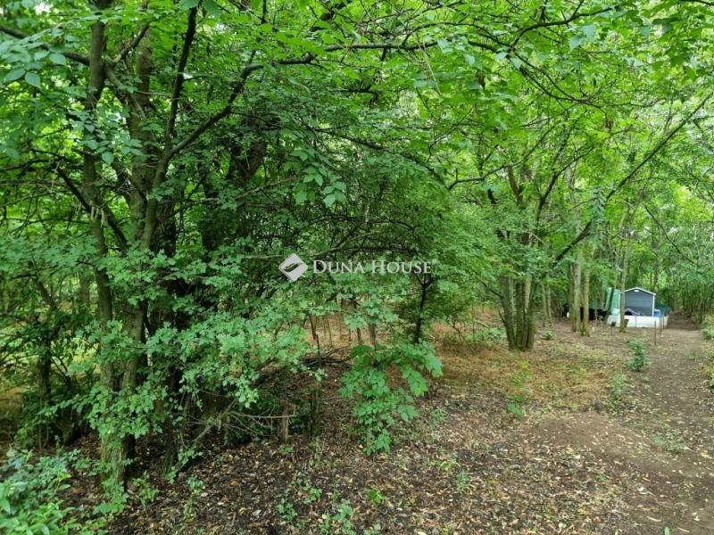 Eladó nyaraló Tóalmás