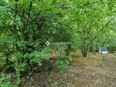 Eladó nyaraló Tóalmás