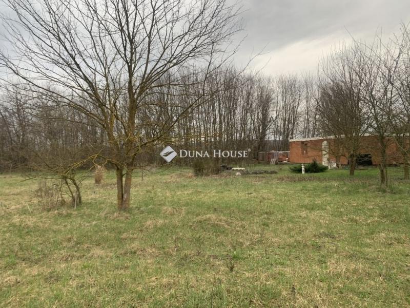 Eladó külterületi telek Őrbottyán