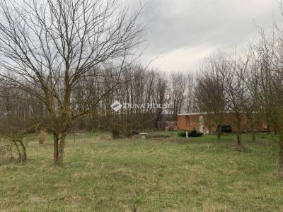 Eladó külterületi telek Őrbottyán