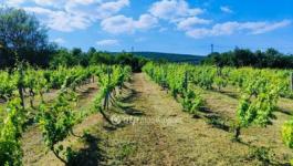 Eladó nyaraló Csopak