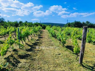 Eladó nyaraló Csopak