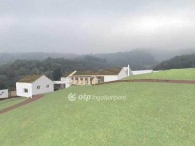 Eladó lakóövezeti telek Villánykövesd