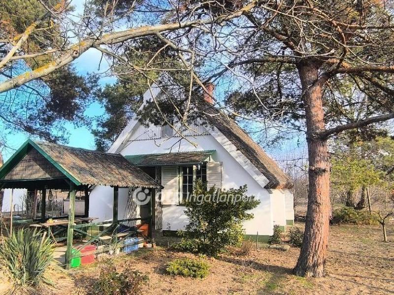 Eladó családi ház Csongrád