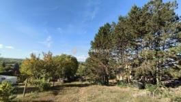 Eladó lakóövezeti telek Őrbottyán