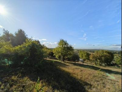 Eladó lakóövezeti telek Őrbottyán