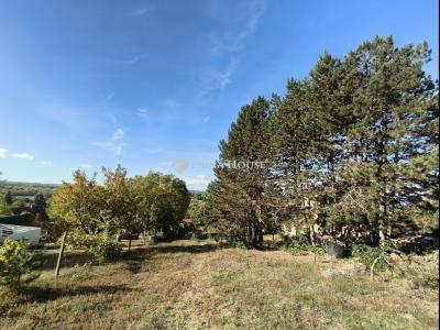 Eladó lakóövezeti telek Őrbottyán