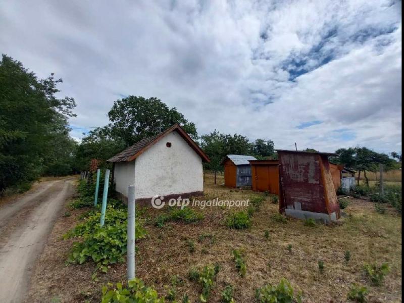 Eladó nyaraló Csongrád