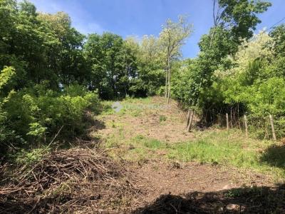 Eladó egyéb telek Pomáz