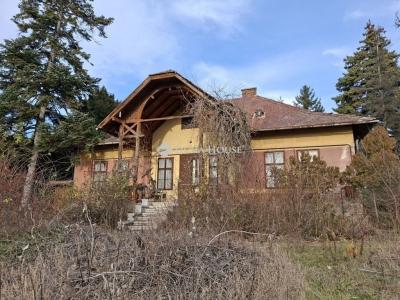 Eladó kastély Szada