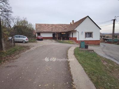 Eladó családi ház Szőkéd