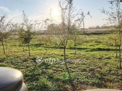 Eladó családi ház Orosháza