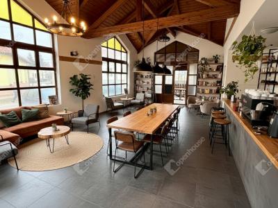 Eladó lakóövezeti telek Monor