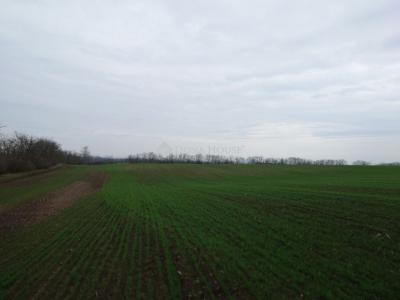 Eladó külterületi telek Bénye