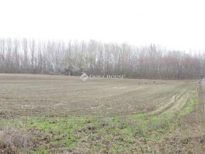 Eladó külterületi telek Pilis