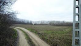 Eladó külterületi telek Pilis