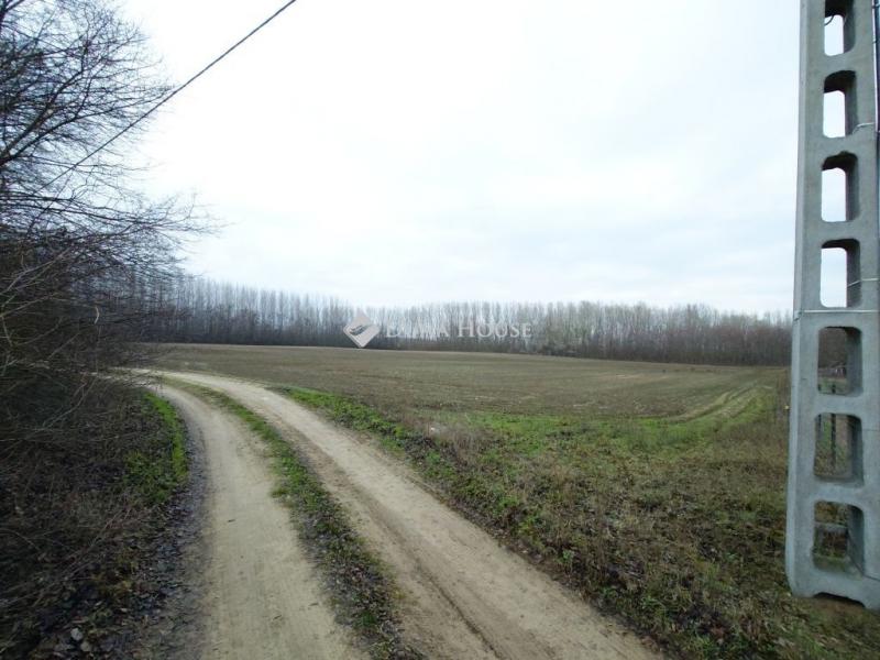 Eladó külterületi telek Pilis