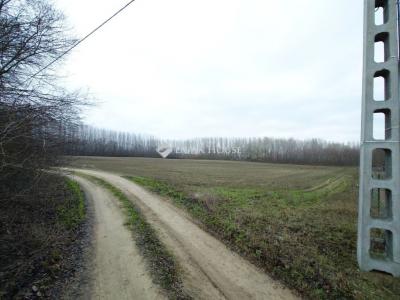 Eladó külterületi telek Pilis