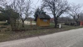 Eladó mezőgazdasági Csongrád