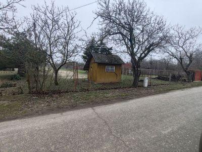 Eladó mezőgazdasági Csongrád