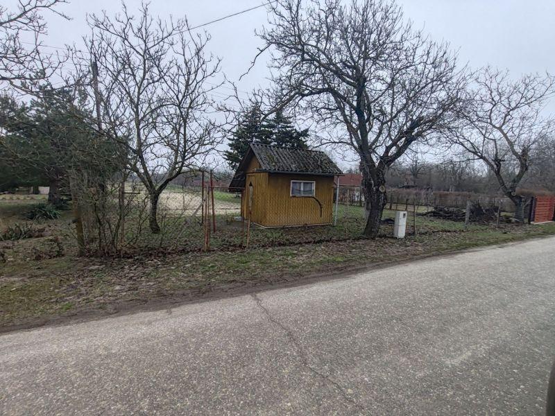 Eladó mezőgazdasági Csongrád