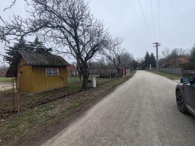 Eladó mezőgazdasági Csongrád