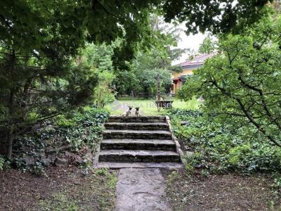 Eladó családi ház Veszprém