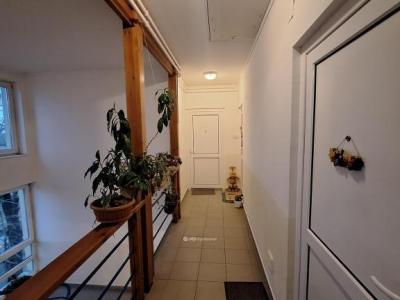 Eladó lakás Lajosmizse