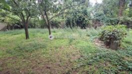 Eladó ikerház Halásztelek