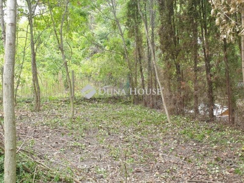 Eladó üdülőövezeti telek Biatorbágy