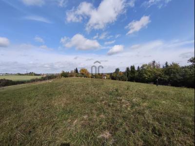 Eladó külterületi telek Nagykanizsa