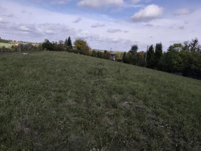 Eladó külterületi telek Nagykanizsa