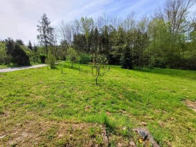 Eladó lakóövezeti telek Nagykanizsa