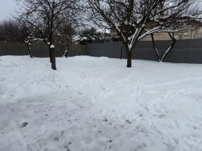 Eladó családi ház Gyömrő