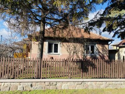 Eladó családi ház Dabas