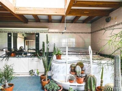 Eladó családi ház Pécs