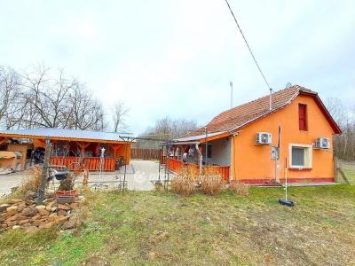 Eladó tanya Nagykőrös