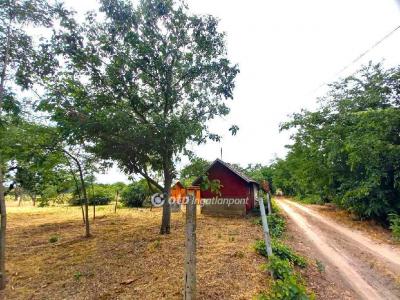 Eladó nyaraló Csongrád