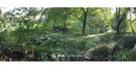 Eladó nyaraló Pécs