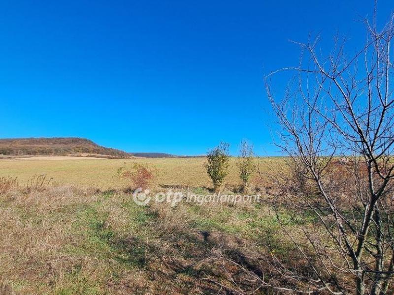 Eladó nyaraló Pilisborosjenő