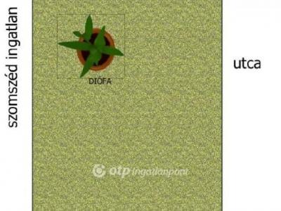 Eladó egyéb telek Csongrád