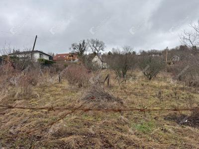 Eladó lakóövezeti telek Szentendre
