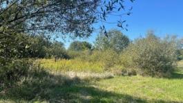 Eladó lakóövezeti telek Nyíregyháza