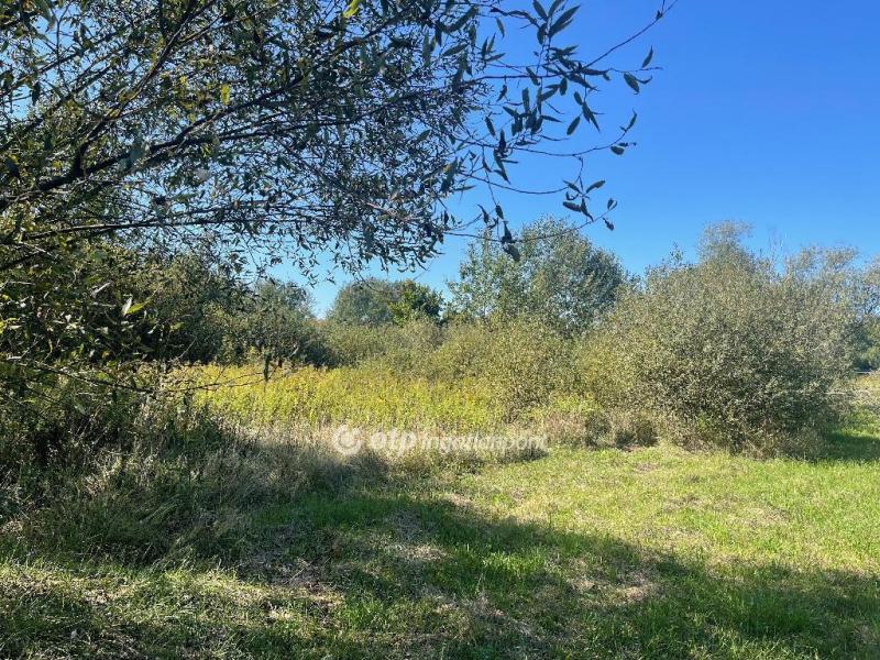 Eladó lakóövezeti telek Nyíregyháza