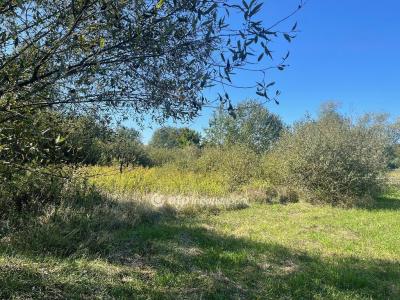 Eladó lakóövezeti telek Nyíregyháza