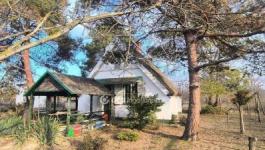 Eladó családi ház Csongrád