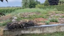 Eladó lakóövezeti telek Csongrád