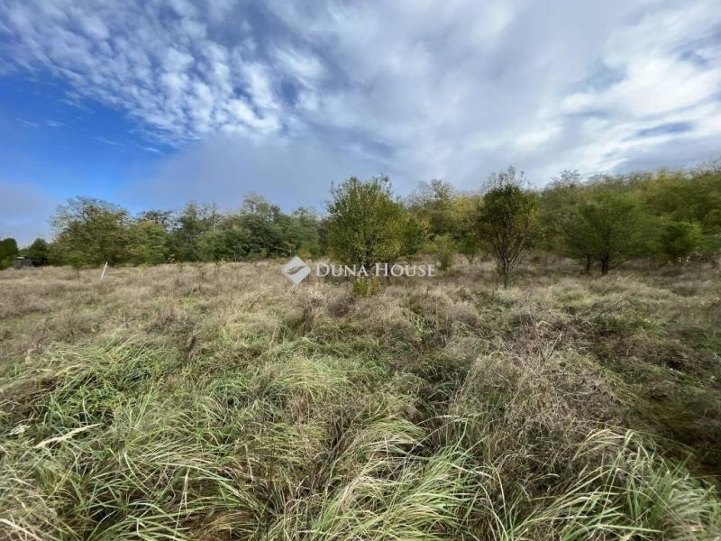 Eladó külterületi telek Csömör